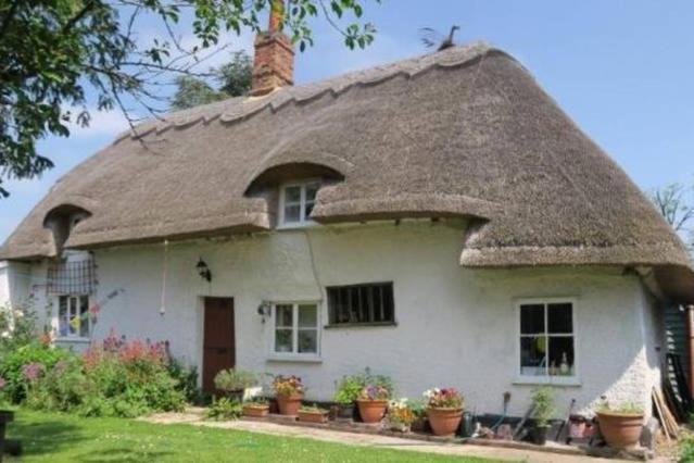 Entire Thatched Cottage 墨尔本 外观 照片